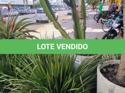 LOTE 141 - 01 JARRO COM PLANTAS VIVAS DECORATIVAS (NO ESTADO) ATENÇÃO! FAZER A VISITAÇÃO ANTES DE ARREMATAR, NÃO SABEMOS SE FUNCIONA. LEILÃO NÃO TEM GARANTIA E NEM DEVOLUÇÃO, SUJEITO A POSSÍVEIS AVARIAS VISÍVEIS/OCULTAS E/OU AUSÊNCIA DE COMPONENTES.