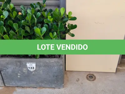 LOTE 133 - 01 JARRO COM PLANTAS VIVAS DECORATIVAS. (NO ESTADO) ATENÇÃO! FAZER A VISITAÇÃO ANTES DE ARREMATAR, NÃO SABEMOS SE FUNCIONA. LEILÃO NÃO TEM GARANTIA E NEM DEVOLUÇÃO, SUJEITO A POSSÍVEIS AVARIAS VISÍVEIS/OCULTAS E/OU AUSÊNCIA DE COMPONENTES.