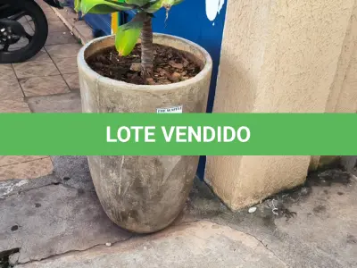 LOTE 139 - 01 JARRO COM PLANTAS VIVAS DECORATIVAS (NO ESTADO) ATENÇÃO! FAZER A VISITAÇÃO ANTES DE ARREMATAR, NÃO SABEMOS SE FUNCIONA. LEILÃO NÃO TEM GARANTIA E NEM DEVOLUÇÃO, SUJEITO A POSSÍVEIS AVARIAS VISÍVEIS/OCULTAS E/OU AUSÊNCIA DE COMPONENTES.