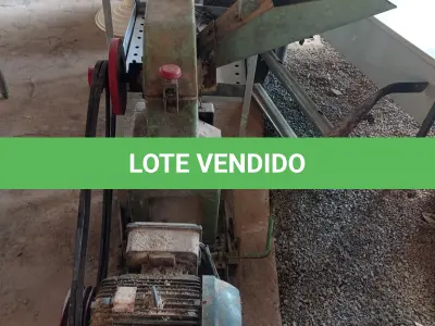 LOTE 504 - 01 PICADOR E TRITURADOR FORRAGEIRA MONOFÁSICO DE ALTA ROTAÇÃO MOTOR 7,5 CV (NO ESTADO)