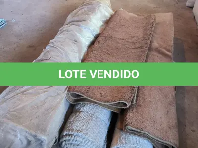 LOTE 005 - 01 LOTE COM TAPETES DIVERSOS.  (NO ESTADO) ATENÇÃO! FAZER A VISITAÇÃO ANTES DE ARREMATAR, NÃO SABEMOS SE FUNCIONA. LEILÃO NÃO TEM GARANTIA E NEM DEVOLUÇÃO, SUJEITO A POSSÍVEIS AVARIAS VISÍVEIS/OCULTAS E/OU AUSÊNCIA DE COMPONENTES.
