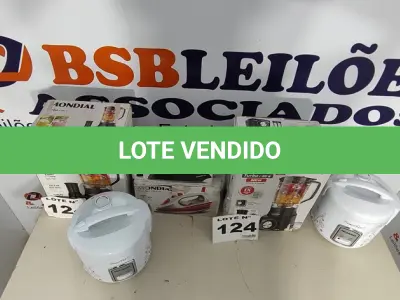 LOTE 124 - 06 – ELETRODOMÉSTICOS DIVERSOS (NO ESTADO, NÃO SABEMOS SE FUNCIONA. LEILÃO NÃO TEM GARANTIA E NEM DEVOLUÇÃO, SUJEITO A POSSÍVEIS AVARIAS VISÍVEIS/OCULTAS E/OU AUSÊNCIA DE COMPONENTES)