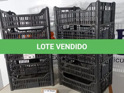 LOTE 195 - 10 CESTAS ORGANIZADORAS. (NO ESTADO) ATENÇÃO! FAZER A VISITAÇÃO ANTES DE ARREMATAR, NÃO SABEMOS SE FUNCIONA. LEILÃO NÃO TEM GARANTIA E NEM DEVOLUÇÃO, SUJEITO A POSSÍVEIS AVARIAS VISÍVEIS/OCULTAS E/OU AUSÊNCIA DE COMPONENTES.