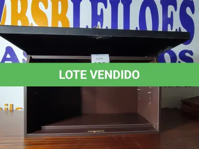 LOTE 028 - 01 ARMÁRIO SUSPENSO. (NO ESTADO EM QUE SE ENCONTRA. SUJEITO A AVARIAS OCULTAS/VISÍVEIS.)
