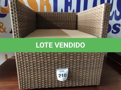 LOTE 210 - 01 POLTRONA DE JARDIM. (NO ESTADO EM QUE SE ENCONTRA. SUJEITO A AVARIAS OCULTAS/VISÍVEIS.) BH1539Y