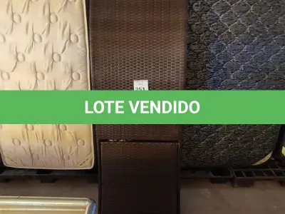 LOTE 251 - 01 CADEIRA DE JARDIM (ESPREGUIÇADEIRA). (NO ESTADO EM QUE SE ENCONTRA. SUJEITO A AVARIAS OCULTAS/VISÍVEIS.) BH1647U