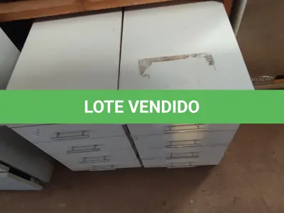 LOTE 154 - 02 GAVETEIROS DE ESCRITÓRIO. (NO ESTADO) ATENÇÃO! FAZER A VISITAÇÃO ANTES DE ARREMATAR, NÃO SABEMOS SE FUNCIONA, LEILÃO NÃO TEM GARANTIA E NEM DEVOLUÇÃO, SUJEITO A POSSÍVEIS AVARIAS VISÍVEIS/OCULTAS E/OU AUSÊNCIA DE COMPONENTES.
