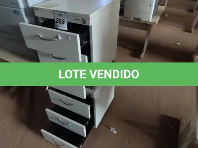 LOTE 263 - 02 GAVETEIROS DE ESCRITÓRIO COM 3 GAVETAS CADA. (NO ESTADO) ATENÇÃO! FAZER A VISITAÇÃO ANTES DE ARREMATAR, NÃO SABEMOS SE FUNCIONA, LEILÃO NÃO TEM GARANTIA E NEM DEVOLUÇÃO, SUJEITO A POSSÍVEIS AVARIAS VISÍVEIS/OCULTAS E/OU AUSÊNCIA DE COMPONENTES.