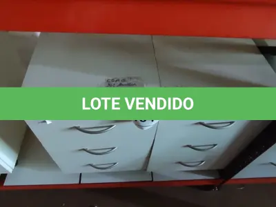 LOTE 134 - 02 GAVETEIROS DE ESCRITÓRIO. (NO ESTADO) ATENÇÃO! FAZER A VISITAÇÃO ANTES DE ARREMATAR, NÃO SABEMOS SE FUNCIONA, LEILÃO NÃO TEM GARANTIA E NEM DEVOLUÇÃO, SUJEITO A POSSÍVEIS AVARIAS VISÍVEIS/OCULTAS E/OU AUSÊNCIA DE COMPONENTES.