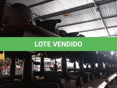 LOTE 365 - 06 CADEIRAS DE ESCRITÓRIO GIRATÓRIAS. (NO ESTADO) ATENÇÃO! FAZER A VISITAÇÃO ANTES DE ARREMATAR, NÃO SABEMOS SE FUNCIONA. LEILÃO NÃO TEM GARANTIA E NEM DEVOLUÇÃO, SUJEITO A POSSÍVEIS AVARIAS VISÍVEIS/OCULTAS E/OU AUSÊNCIA DE COMPONENTES.