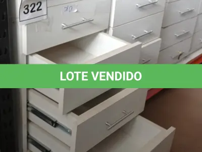LOTE 322 - 02 GAVETEIROS COM 04 GAVETAS CADA. (NO ESTADO) ATENÇÃO! FAZER A VISITAÇÃO ANTES DE ARREMATAR, NÃO SABEMOS SE FUNCIONA, LEILÃO NÃO TEM GARANTIA E NEM DEVOLUÇÃO, SUJEITO A POSSÍVEIS AVARIAS VISÍVEIS/OCULTAS E/OU AUSÊNCIA DE COMPONENTES.
