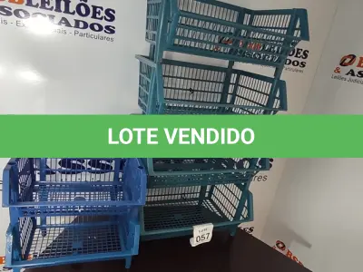 LOTE 057 - 06 CESTAS ORGANIZADORAS. (NO ESTADO) ATENÇÃO! FAZER A VISITAÇÃO ANTES DE ARREMATAR, NÃO SABEMOS SE FUNCIONA, LEILÃO NÃO TEM GARANTIA E NEM DEVOLUÇÃO, SUJEITO A POSSÍVEIS AVARIAS VISÍVEIS/OCULTAS E/OU AUSÊNCIA DE COMPONENTES.