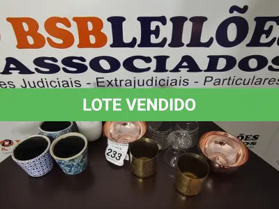 LOTE 233 - 12 VASOS DECORATIVOS DE MODELOS DIVERSOS. (NO ESTADO) ATENÇÃO! FAZER A VISITAÇÃO ANTES DE ARREMATAR, NÃO SABEMOS SE FUNCIONA, LEILÃO NÃO TEM GARANTIA E NEM DEVOLUÇÃO, SUJEITO A POSSÍVEIS AVARIAS VISÍVEIS/OCULTAS E/OU AUSÊNCIA DE COMPONENTES.