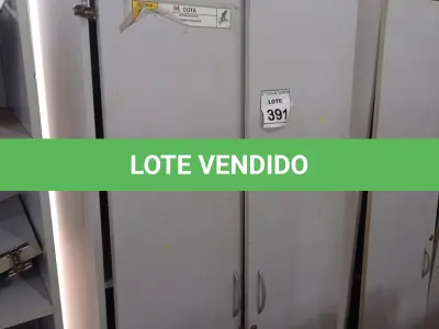 LOTE 391 - 01 ARMÁRIO ALTO COM 02 PORTAS 01 COMPARTIMENTO. (NO ESTADO) ATENÇÃO! FAZER A VISITAÇÃO ANTES DE ARREMATAR, NÃO SABEMOS SE FUNCIONA, LEILÃO NÃO TEM GARANTIA E NEM DEVOLUÇÃO, SUJEITO A POSSÍVEIS AVARIAS VISÍVEIS/OCULTAS E/OU AUSÊNCIA DE COMPONENTES.