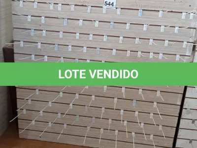 LOTE 544 - 01 PAINEL CANALETADO COM GANCHOS DE 1,49 X 1,40. (NO ESTADO) ATENÇÃO! FAZER A VISITAÇÃO ANTES DE ARREMATAR, NÃO SABEMOS SE FUNCIONA, LEILÃO NÃO TEM GARANTIA E NEM DEVOLUÇÃO, SUJEITO A POSSÍVEIS AVARIAS VISÍVEIS/OCULTAS E/OU AUSÊNCIA DE COMPONENTES.