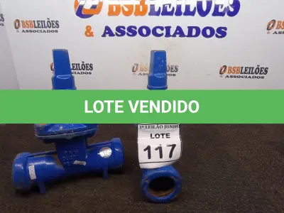 LOTE 117 - 02 VÁLVULAS GLOBO. (NO ESTADO) ATENÇÃO! FAZER A VISITAÇÃO ANTES DE ARREMATAR, NÃO SABEMOS SE FUNCIONA, LEILÃO NÃO TEM GARANTIA E NEM DEVOLUÇÃO, SUJEITO A POSSÍVEIS AVARIAS VISÍVEIS/OCULTAS E/OU AUSÊNCIA DE COMPONENTES.