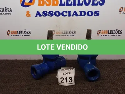 LOTE 213 - 02 VÁLVULAS GLOBO. (NO ESTADO) ATENÇÃO! FAZER A VISITAÇÃO ANTES DE ARREMATAR, NÃO SABEMOS SE FUNCIONA, LEILÃO NÃO TEM GARANTIA E NEM DEVOLUÇÃO, SUJEITO A POSSÍVEIS AVARIAS VISÍVEIS/OCULTAS E/OU AUSÊNCIA DE COMPONENTES.