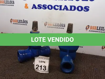 LOTE 213 - 02 VÁLVULAS GLOBO. (NO ESTADO) ATENÇÃO! FAZER A VISITAÇÃO ANTES DE ARREMATAR, NÃO SABEMOS SE FUNCIONA, LEILÃO NÃO TEM GARANTIA E NEM DEVOLUÇÃO, SUJEITO A POSSÍVEIS AVARIAS VISÍVEIS/OCULTAS E/OU AUSÊNCIA DE COMPONENTES.