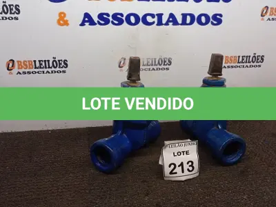 LOTE 213 - 02 VÁLVULAS GLOBO. (NO ESTADO) ATENÇÃO! FAZER A VISITAÇÃO ANTES DE ARREMATAR, NÃO SABEMOS SE FUNCIONA, LEILÃO NÃO TEM GARANTIA E NEM DEVOLUÇÃO, SUJEITO A POSSÍVEIS AVARIAS VISÍVEIS/OCULTAS E/OU AUSÊNCIA DE COMPONENTES.