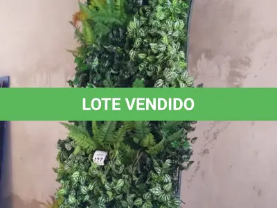 LOTE 427 - 01 PAINEL DECORADO COM PLANTAS ARTIFICIAIS