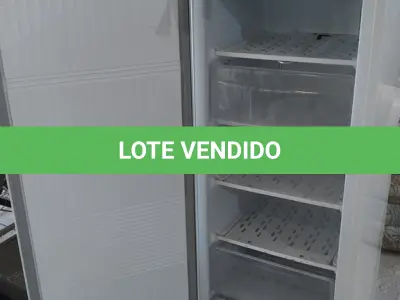 LOTE 107 - 01 FREEZER ELECTROLUX 220V.  (NO ESTADO EM QUE SE ENCONTRA. SUJEITO A AVARIAS OCULTAS/VISÍVEIS.) BF8510B