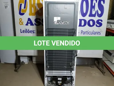 LOTE 194 -  01 FREEZER VERTICAL BRASTEMP 220V. (NO ESTADO EM QUE SE ENCONTRA. SUJEITO A AVARIAS OCULTAS/VISÍVEIS.)  AV9814Y