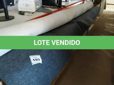 LOTE 189 -  01 TAPETE CINZA. (NO ESTADO EM QUE SE ENCONTRA. SUJEITO A AVARIAS OCULTAS/VISÍVEIS.)  