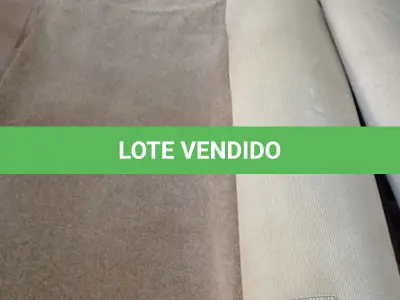 LOTE 174 - 01 TAPETE. (NO ESTADO EM QUE SE ENCONTRA. SUJEITO A AVARIAS OCULTAS/VISÍVEIS.) BJ7395H