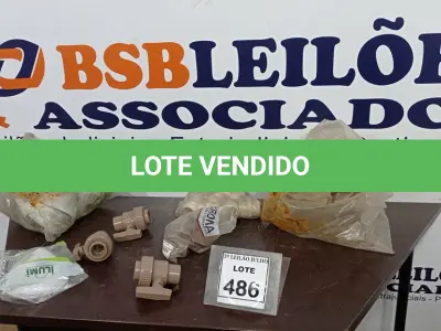 LOTE 486 - 01 LOTE COM VÁRIAS PEÇAS DE PLAFON 02 LÂMPADAS, NIPLES, TÊ E REGISTROS DE MARCAS E MEDIDAS DIVERSAS. (NO ESTADO) ATENÇÃO! FAZER A VISITAÇÃO ANTES DE ARREMATAR, NÃO SABEMOS SE FUNCIONA, LEILÃO NÃO TEM GARANTIA E NEM DEVOLUÇÃO, SUJEITO A POSSÍVEIS AVARIAS VISÍVEIS/OCULTAS E/OU AUSÊNCIA DE COMPONENTES.