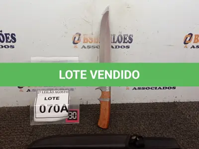 LOTE 070 - FACA IMPORTADA AÇO INOXIDÁVEL CABO EM MADEIRA GUARDA DUPLA  FULL TANG BAINHA DE NYLON TAMANHO TOTAL 38CM PESO 416G JÁ AFIADA  . (NO ESTADO) ATENÇÃO! FAZER A VISITAÇÃO ANTES DE ARREMATAR, NÃO SABEMOS SE FUNCIONA. LEILÃO NÃO TEM GARANTIA E NEM DEVOLUÇÃO, SUJEITO A POSSÍVEIS AVARIAS VISÍVEIS/OCULTAS E/OU AUSÊNCIA DE COMPONENTES.