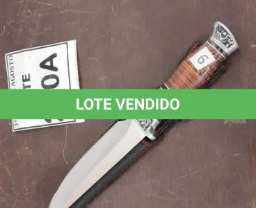 LOTE 270 - 01 FACA IMPORTADA 29CM GUARDA E POMO EM ALUMÍNIO BAINHA DE NYLON. (NO ESTADO) ATENÇÃO! FAZER A VISITAÇÃO ANTES DE ARREMATAR, NÃO SABEMOS SE FUNCIONA. LEILÃO NÃO TEM GARANTIA E NEM DEVOLUÇÃO, SUJEITO A POSSÍVEIS AVARIAS VISÍVEIS/OCULTAS E/OU AUSÊNCIA DE COMPONENTES.