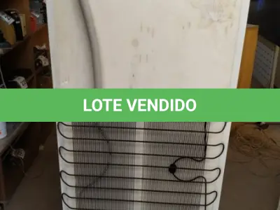 LOTE 341 - 01 ESTUFA INCUBADORA. (NO ESTADO) ATENÇÃO! FAZER A VISITAÇÃO ANTES DE ARREMATAR, NÃO SABEMOS SE FUNCIONA, LEILÃO NÃO TEM GARANTIA E NEM DEVOLUÇÃO, SUJEITO A POSSÍVEIS AVARIAS VISÍVEIS/OCULTAS E/OU AUSÊNCIA DE COMPONENTES.
