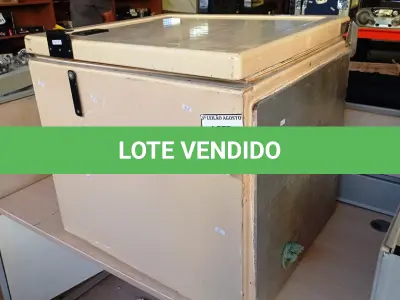 LOTE 232 - 01 CAIXA TÉRMICA. (NO ESTADO) ATENÇÃO! FAZER A VISITAÇÃO ANTES DE ARREMATAR, NÃO SABEMOS SE FUNCIONA, LEILÃO NÃO TEM GARANTIA E NEM DEVOLUÇÃO, SUJEITO A POSSÍVEIS AVARIAS VISÍVEIS/OCULTAS E/OU AUSÊNCIA DE COMPONENTES.