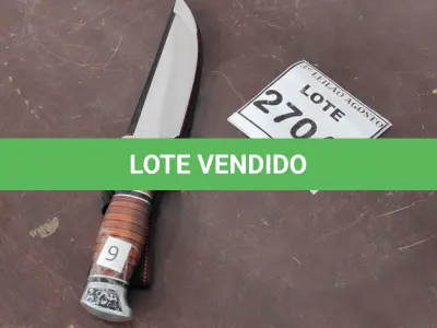 LOTE 270 - 01 FACA IMPORTADA 29CM GUARDA E POMO EM ALUMÍNIO BAINHA DE NYLON. (NO ESTADO) ATENÇÃO! FAZER A VISITAÇÃO ANTES DE ARREMATAR, NÃO SABEMOS SE FUNCIONA. LEILÃO NÃO TEM GARANTIA E NEM DEVOLUÇÃO, SUJEITO A POSSÍVEIS AVARIAS VISÍVEIS/OCULTAS E/OU AUSÊNCIA DE COMPONENTES.