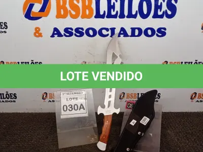 LOTE 030 - 01 FACÃO  IMPORTADA AÇO INOXIDÁVEL CABO EM MADEIRA  FULL TANG BAINHA DE NYLON TAMANHO TOTAL 50CM PESO 526G JÁ AFIADA  . (NO ESTADO) ATENÇÃO! FAZER A VISITAÇÃO ANTES DE ARREMATAR, NÃO SABEMOS SE FUNCIONA, LEILÃO NÃO TEM GARANTIA E NEM DEVOLUÇÃO, SUJEITO A POSSÍVEIS AVARIAS VISÍVEIS/OCULTAS E/OU AUSÊNCIA DE COMPONENTES.