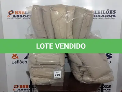 LOTE 219 - 01 LOTE DE ALMOFADAS.  (NO ESTADO EM QUE SE ENCONTRA. SUJEITO A AVARIAS OCULTAS/VISÍVEIS.)