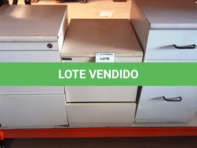 LOTE 232 - 03 GAVETEIROS COM 03 GAVETAS CADA. (NO ESTADO) ATENÇÃO! FAZER A VISITAÇÃO ANTES DE ARREMATAR, NÃO SABEMOS SE FUNCIONA, LEILÃO NÃO TEM GARANTIA E NEM DEVOLUÇÃO, SUJEITO A POSSÍVEIS AVARIAS VISÍVEIS/OCULTAS E/OU AUSÊNCIA DE COMPONENTES.