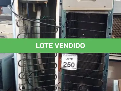 LOTE 250 - 02 BEBEDOUROS PARA GARRAFÃO. (NO ESTADO) ATENÇÃO! FAZER A VISITAÇÃO ANTES DE ARREMATAR, NÃO SABEMOS SE FUNCIONA, LEILÃO NÃO TEM GARANTIA E NEM DEVOLUÇÃO, SUJEITO A POSSÍVEIS AVARIAS VISÍVEIS/OCULTAS E/OU AUSÊNCIA DE COMPONENTES.