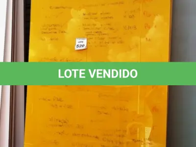 LOTE 520 - 05 PAINÉIS DE VIDRO NA COR AMARELA DE 2,39X1,19. (NO ESTADO) ATENÇÃO! FAZER A VISITAÇÃO ANTES DE ARREMATAR, NÃO SABEMOS SE FUNCIONA, LEILÃO NÃO TEM GARANTIA E NEM DEVOLUÇÃO, SUJEITO A POSSÍVEIS AVARIAS VISÍVEIS/OCULTAS E/OU AUSÊNCIA DE COMPONENTES.