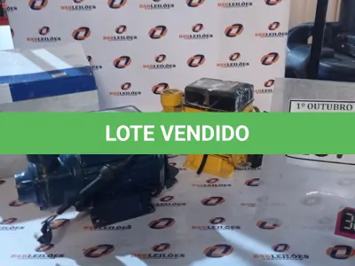 LOTE 287 - 02 MOTOBOMBAS PERIFÉRICAS. (NO ESTADO) ATENÇÃO! FAZER A VISITAÇÃO ANTES DE ARREMATAR, NÃO SABEMOS SE FUNCIONA, LEILÃO NÃO TEM GARANTIA E NEM DEVOLUÇÃO, SUJEITO A POSSÍVEIS AVARIAS VISÍVEIS/OCULTAS E/OU AUSÊNCIA DE COMPONENTES.