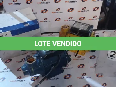 LOTE 287 - 02 MOTOBOMBAS PERIFÉRICAS. (NO ESTADO) ATENÇÃO! FAZER A VISITAÇÃO ANTES DE ARREMATAR, NÃO SABEMOS SE FUNCIONA, LEILÃO NÃO TEM GARANTIA E NEM DEVOLUÇÃO, SUJEITO A POSSÍVEIS AVARIAS VISÍVEIS/OCULTAS E/OU AUSÊNCIA DE COMPONENTES.