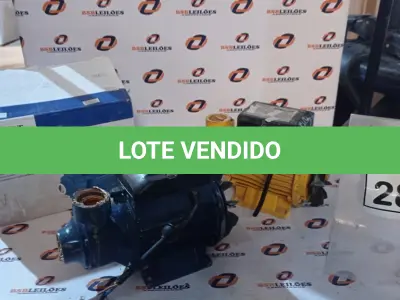 LOTE 287 - 02 MOTOBOMBAS PERIFÉRICAS. (NO ESTADO) ATENÇÃO! FAZER A VISITAÇÃO ANTES DE ARREMATAR, NÃO SABEMOS SE FUNCIONA, LEILÃO NÃO TEM GARANTIA E NEM DEVOLUÇÃO, SUJEITO A POSSÍVEIS AVARIAS VISÍVEIS/OCULTAS E/OU AUSÊNCIA DE COMPONENTES.