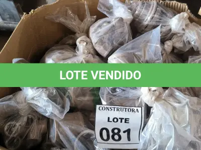LOTE 081 - 01 LOTE COM CONEXÕES DIVERSAS. (NO ESTADO) ATENÇÃO! FAZER A VISITAÇÃO ANTES DE ARREMATAR, NÃO SABEMOS SE FUNCIONA, LEILÃO NÃO TEM GARANTIA E NEM DEVOLUÇÃO, SUJEITO A POSSÍVEIS AVARIAS VISÍVEIS/OCULTAS E/OU AUSÊNCIA DE COMPONENTES.