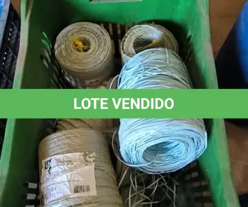 LOTE 219 - 01 LOTE COM FITILHOS. (CAIXA ORGANIZADORA NAO INCLUSA) (NO ESTADO) ATENÇÃO! FAZER A VISITAÇÃO ANTES DE ARREMATAR, NÃO SABEMOS SE FUNCIONA, LEILÃO NÃO TEM GARANTIA E NEM DEVOLUÇÃO, SUJEITO A POSSÍVEIS AVARIAS VISÍVEIS/OCULTAS E/OU AUSÊNCIA DE COMPONENTES.