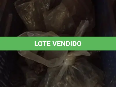 LOTE 423 - 01 LOTE COM CONECTOR PARA HASTER ATERRAMENTO E GRAMPOS PARA ATERRAMENTO. (NO ESTADO) ATENÇÃO! FAZER A VISITAÇÃO ANTES DE ARREMATAR, NÃO SABEMOS SE FUNCIONA, LEILÃO NÃO TEM GARANTIA E NEM DEVOLUÇÃO, SUJEITO A POSSÍVEIS AVARIAS VISÍVEIS/OCULTAS E/OU AUSÊNCIA DE COMPONENTES.