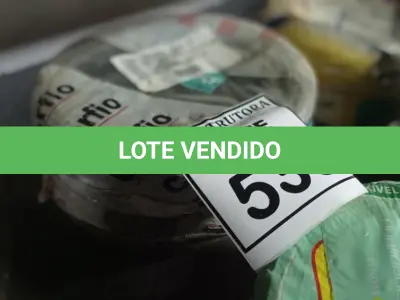 LOTE 536 - 02 ROLOS DE FIO 1X1,5MM ANTI CHAMA 450/750 100 METROS NA COR PRETO E BRANCO. (NO ESTADO) ATENÇÃO! FAZER A VISITAÇÃO ANTES DE ARREMATAR, NÃO SABEMOS SE FUNCIONA, LEILÃO NÃO TEM GARANTIA E NEM DEVOLUÇÃO, SUJEITO A POSSÍVEIS AVARIAS VISÍVEIS/OCULTAS E/OU AUSÊNCIA DE COMPONENTES.