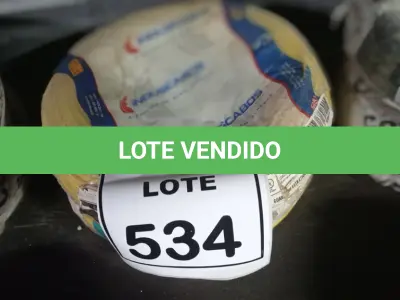 LOTE 534 - 02 ROLOS DE FIO 1X1,5MM ANTI CHAMA 450/750 100 METROS NA COR AMARELO. (NO ESTADO) ATENÇÃO! FAZER A VISITAÇÃO ANTES DE ARREMATAR, NÃO SABEMOS SE FUNCIONA, LEILÃO NÃO TEM GARANTIA E NEM DEVOLUÇÃO, SUJEITO A POSSÍVEIS AVARIAS VISÍVEIS/OCULTAS E/OU AUSÊNCIA DE COMPONENTES.