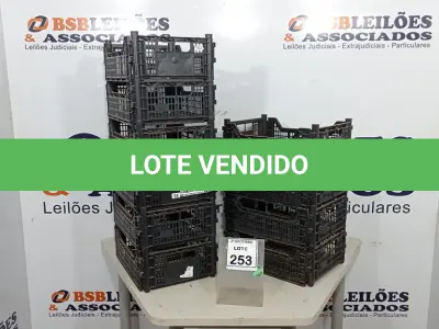 LOTE 253 - 10 CESTAS ORGANIZADORAS. (NO ESTADO) ATENÇÃO! FAZER A VISITAÇÃO ANTES DE ARREMATAR, NÃO SABEMOS SE FUNCIONA, LEILÃO NÃO TEM GARANTIA E NEM DEVOLUÇÃO, SUJEITO A POSSÍVEIS AVARIAS VISÍVEIS/OCULTAS E/OU AUSÊNCIA DE COMPONENTES.