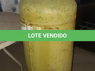 LOTE 132 - 01 BOTIJÃO DE GÁS VAZIO P45. (NO ESTADO EM QUE SE ENCONTRA. SUJEITO A AVARIAS OCULTAS/VISÍVEIS.)