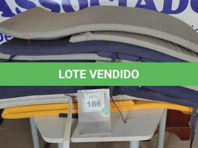 LOTE 186 - 01 LOTE COM ALMOFADAS PARA ESPREGUIÇADEIRAS DIVERSAS CORES. (NO ESTADO EM QUE SE ENCONTRA. SUJEITO A AVARIAS OCULTAS/VISÍVEIS.)